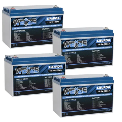 Durable WEIZE Deep Cycle Battery Pack