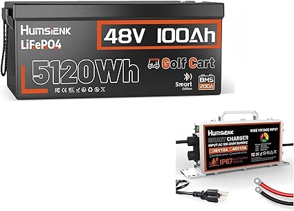 48V 100Ah Lithium Battery with Charger
