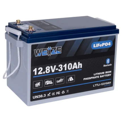WEIZE LiFePO4 High Capacity Battery